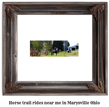 horse trail rides near me in Marysville, Ohio